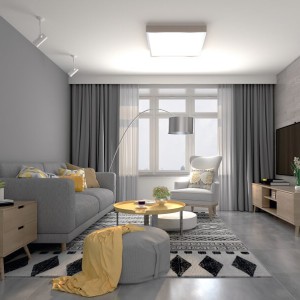 Draperii pentru salon#8
